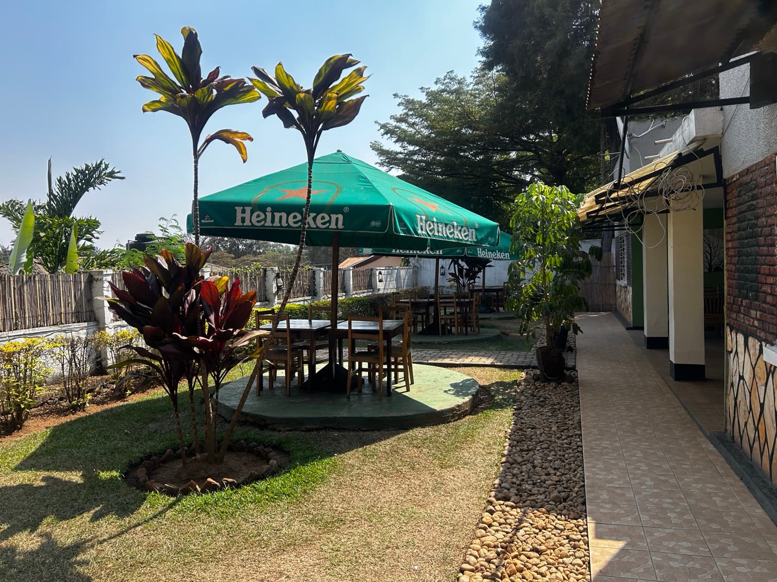 Open-air seating under the trees — where most regulars sit